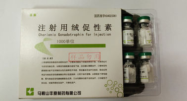 注入、HCGの白い粉、USPの標準のためのChorionic性腺刺激ホルモン